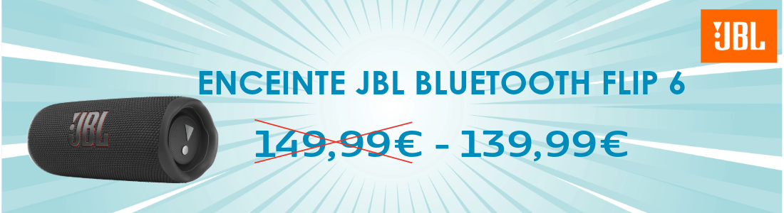 JBL enceinte flip 6 ski