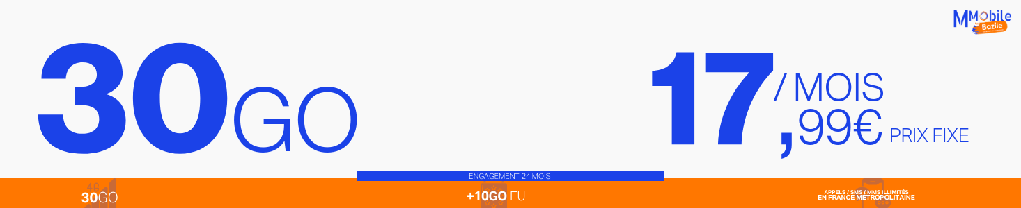 30GO 24M Bazile 733 300 new